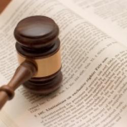 GAO Patent Infringement Study
