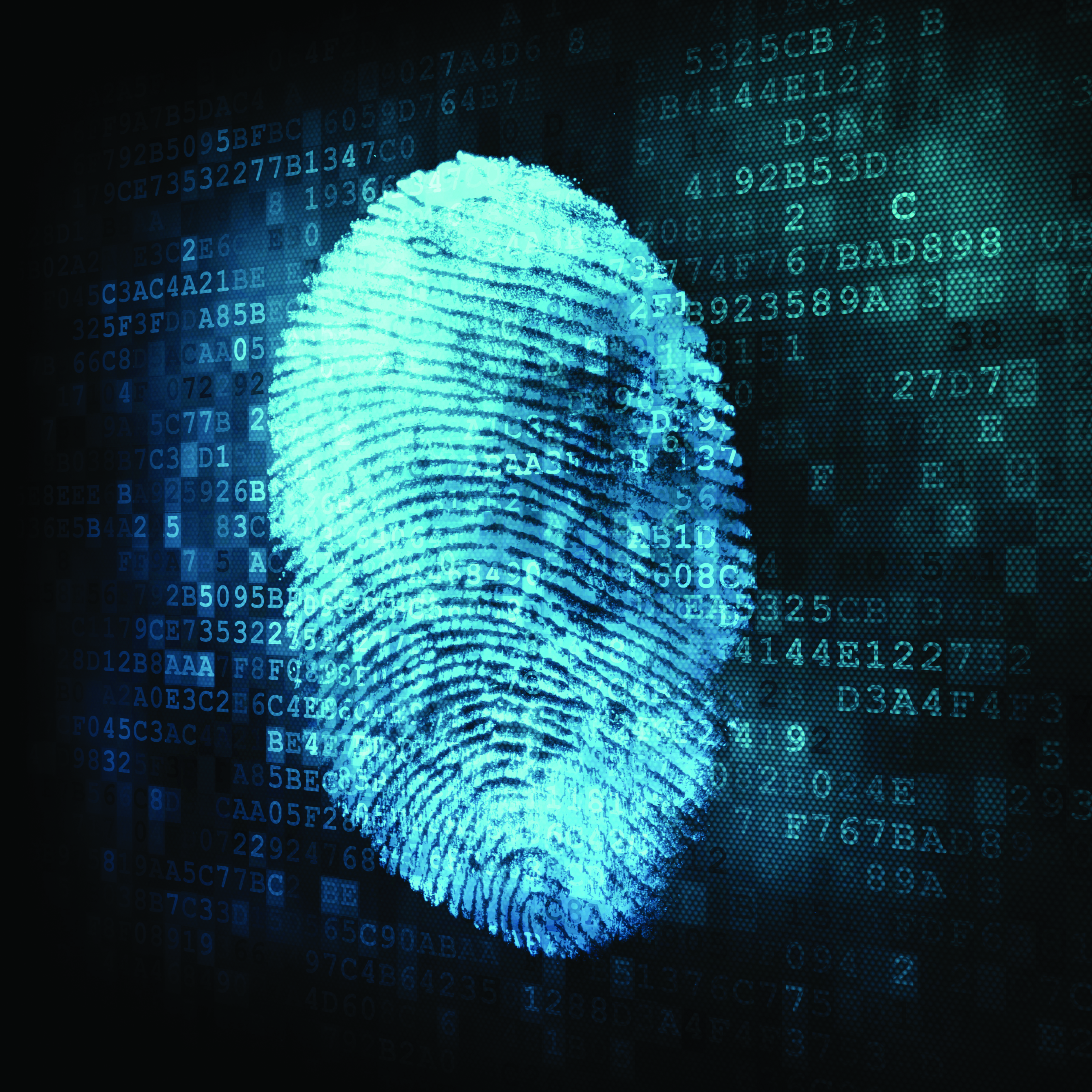 Integrating Forensic Accounting