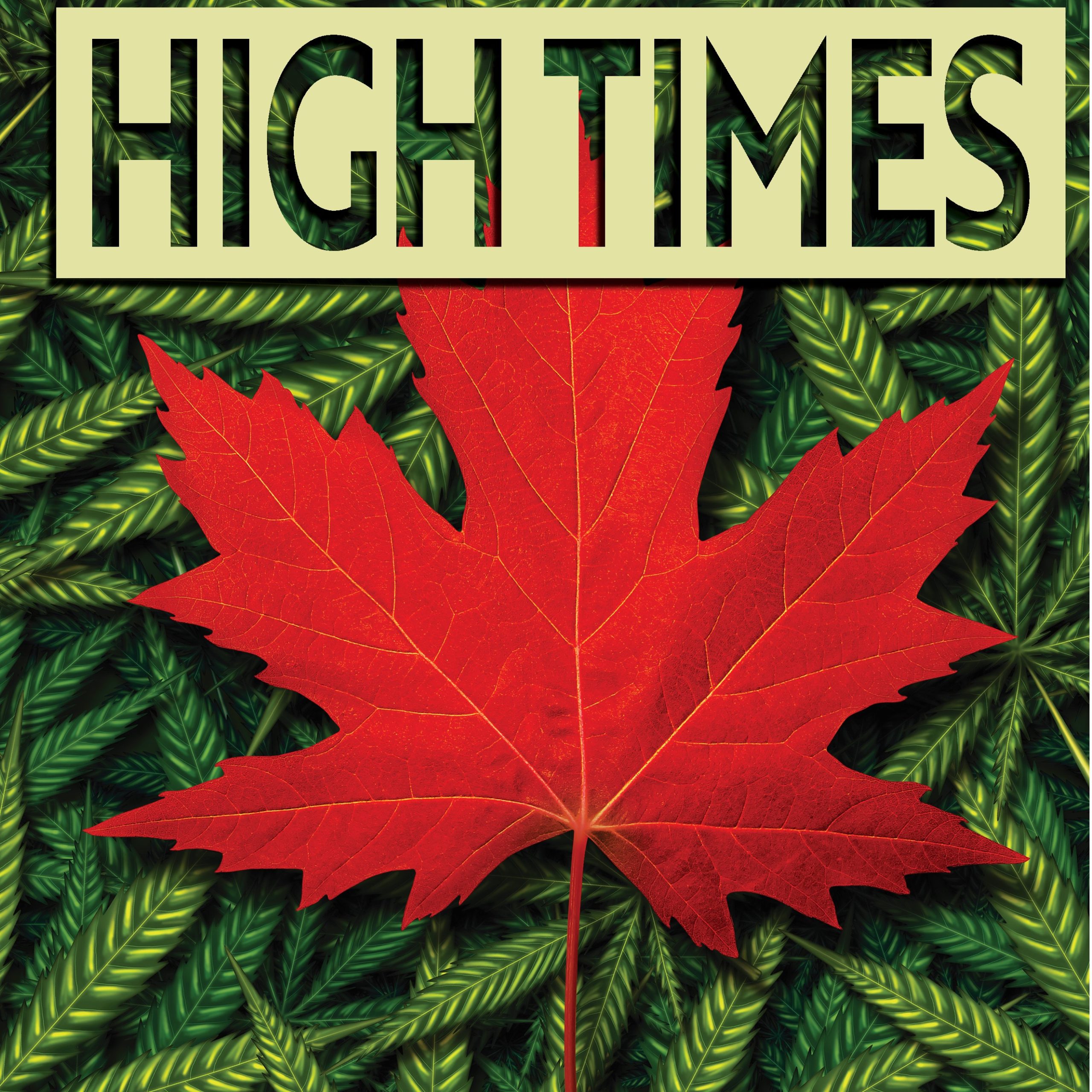 High Times for Cannabis M&A